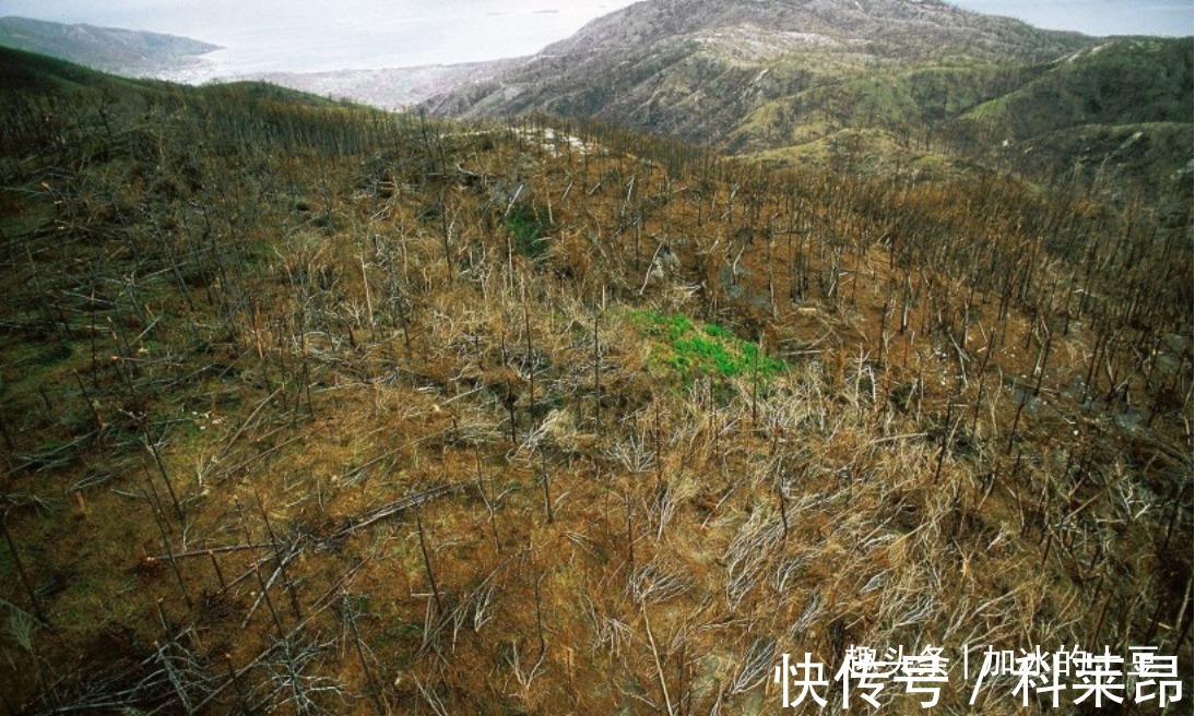 真正的爱情|不容置疑，最具备大将之风的星座，他们的人生，向来都不简单