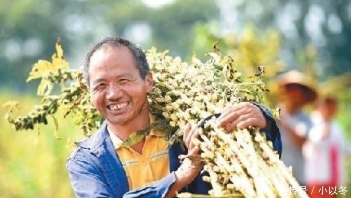 为何“尿毒症”越来越多尽量少碰这3物,肾可能会“感激”你