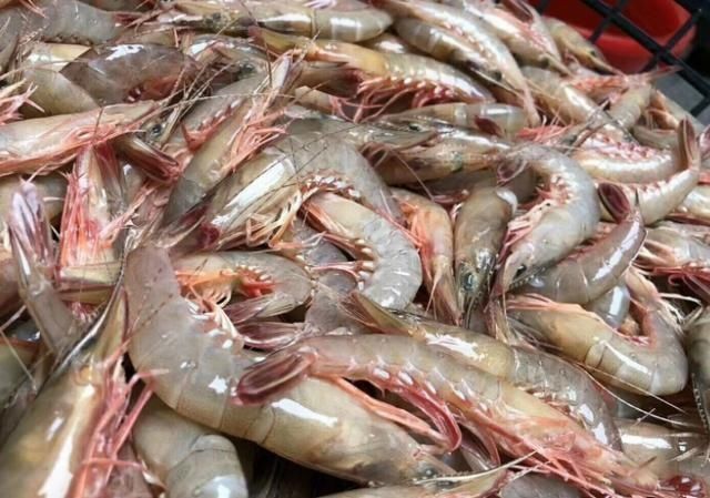 氨基酸|含“寄生虫”最多的3种海鲜,没营养还贵,商家自己从不给家人吃