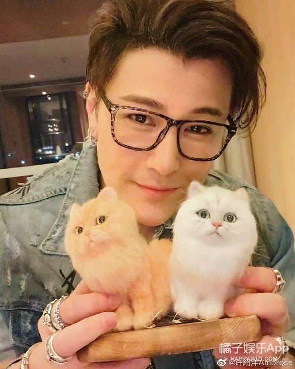 海豚湾恋人|还记得《海豚湾恋人》的许绍洋吗？去当健身教练了？