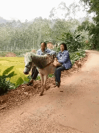 |搞笑动图:上一秒很帅,下一秒很疼!