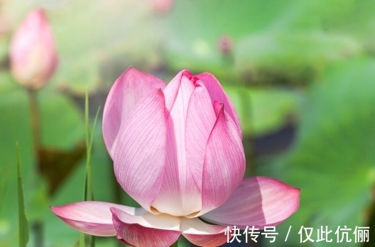 家庭|12月中旬,4属相吉星照耀,家庭美满,事业进步,生活如鱼得水