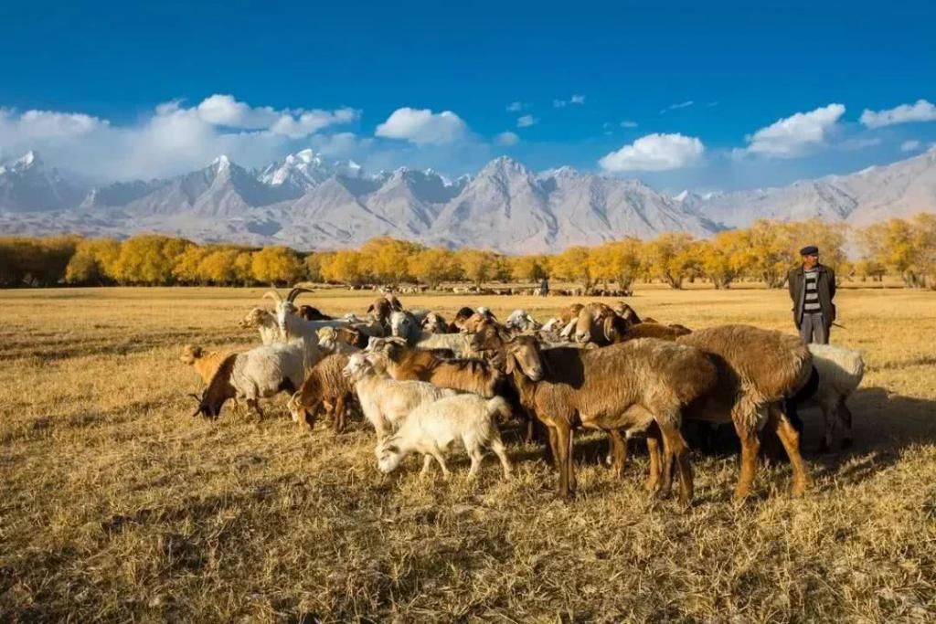 南疆到底什么样没走过南疆的旅行是不完整的