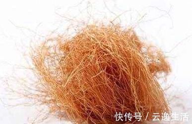 嘌呤|尿酸高的人,少吃5类食物,多吃3物,帮你降尿酸,远离痛风困扰