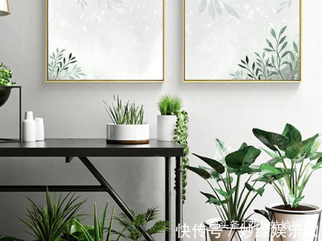 三角梅|适合秋天养的7种花,好养易活,只要环境合适,爱开花,花期长