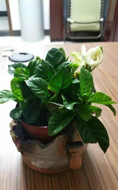 三高最怕的3種食物，平時常吃些，軟化血管，降壓減脂，好處多多