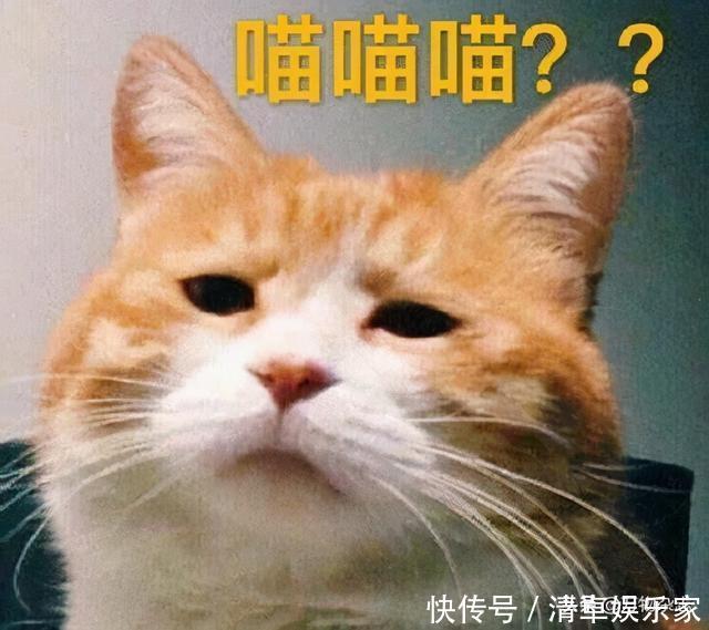 糖和盐混在一起了要怎么分开?| 趣问万物