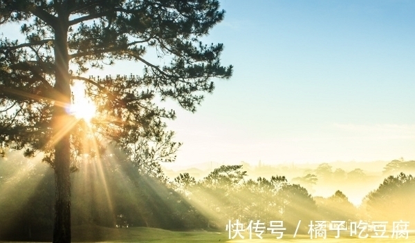 人生巅峰|特别会自我安慰，自强不息，10月30号起，财运逆天，到达人生巅峰