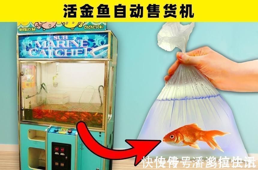 内裤|奇怪的售货机：你可以在世界各地找到的7个非常奇怪的售货机