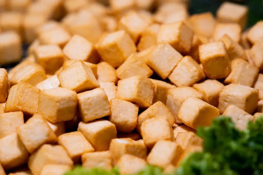大豆分离蛋白|过年必吃2种“伪豆腐”，低脂高蛋白！尤其第一种，补血还特厉害