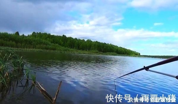 钓友|钓友鱼没钓到，钓了1只1米长1斤重的大虾，一起来欣赏一下吧