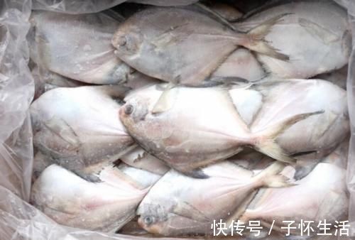 营养|内行人买鱼专挑这4种鱼,肉嫩刺少营养好,目前还不能人工养殖!