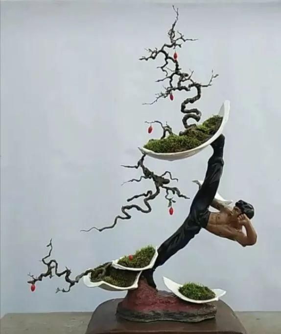 盆景玩成这样，真无语……