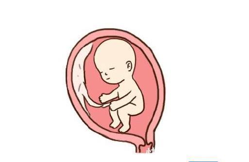 胎儿|怀孕后，孕妈身体出现5个“不适”，说明胎儿在向妈妈报平安呢