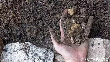 华氏度 盘点: 地球十大惊人事实