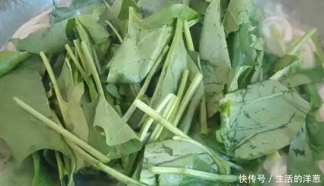 条鱼|婆婆用15条鱼,给我做了一碗面,吃得我都感动了