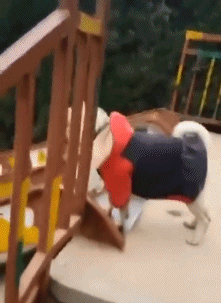 |搞笑GIF段子：不是说女追男隔层纸吗？这也太好追了吧，哈哈哈哈