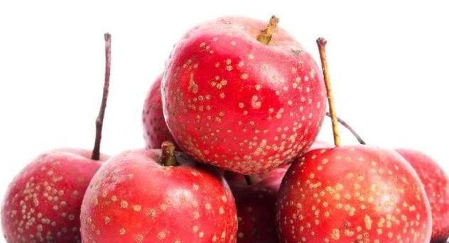 优质蛋白|人要长寿,多吃4种食物,减少脂肪,排毒清肠,早吃早好