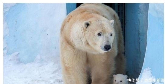 哺乳期|母乳不足是有原因的,哺乳期别做3事,做的越多,母乳越少