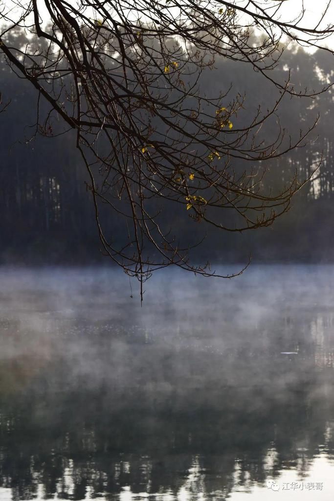冬泳|太美了！江华惊现“小东江”和一群不畏严寒的冬泳人