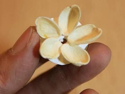 保证|吃完的坚果不能丢,坚果壳变身记,保证创意一箩筐