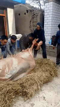 |搞笑GIF:这是一条神奇的裙