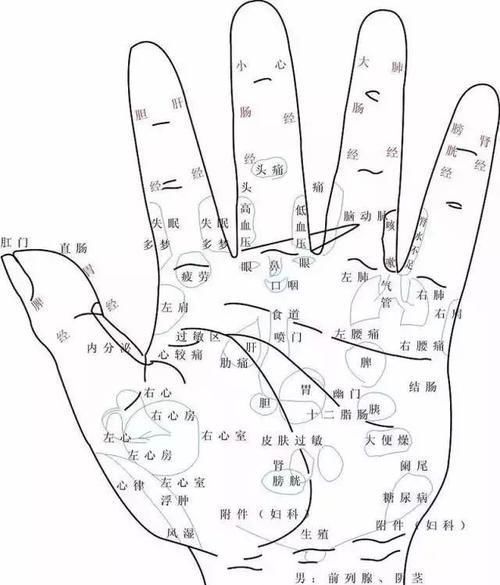 养生|五指通全身,手指养生的秘密都在这里!值得一看!