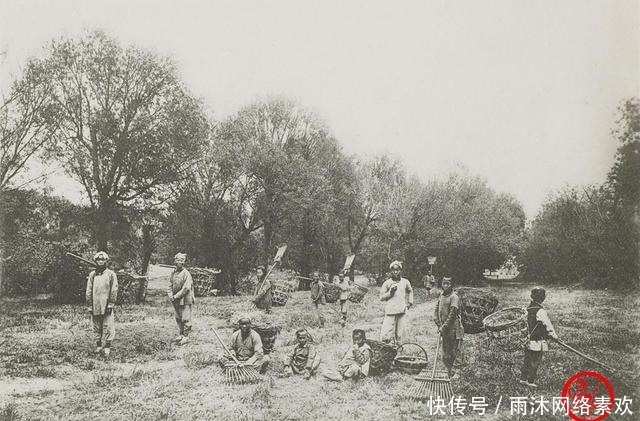 骡子|慈禧时代老照片：贵妇吸鸦片 骡子抬轿