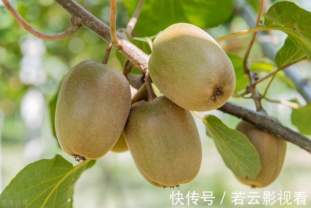 单发|什么是甲状腺结节？饮食上需要注意什么？