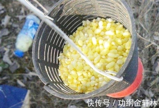 冬季钓鲫鱼,掌握这些技巧,渔获不发愁