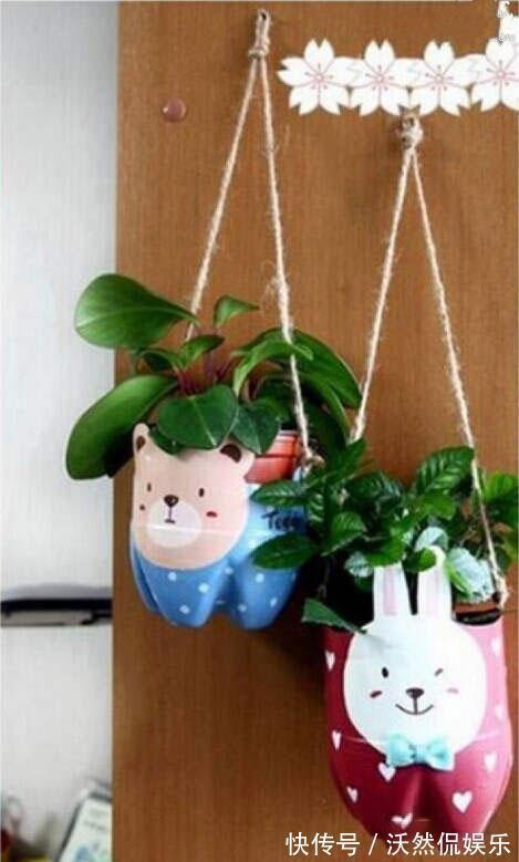 花盆不用买随手拿“1物”,放点土进去,比买的花盆还好看!