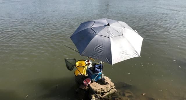 钓友|春季天晴钓鱼难老钓友试试这些方法,大鲫鱼拉到手软