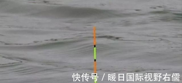 鱼口|野钓鲫鱼,别人连杆不断你却不上鱼,有可能是这三个原因导致的