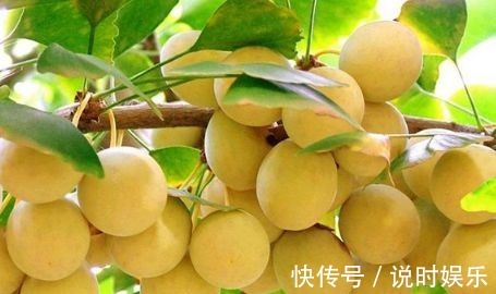 食物|每天不妨多吃3种食物,补充营养、延缓衰老,好吃又不贵!