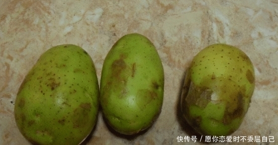 家里面买多了土豆长芽了,扔掉实在可惜,不妨试试这几个妙用