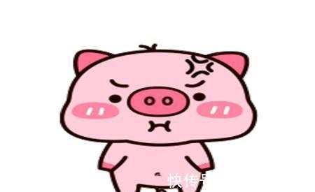 |幽默笑话:新来的女同事长得很好看,小舅子为了追她做了不少功课