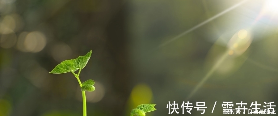 逆向思维|易经:一个人能沉得住气,潜龙勿用,终有崛起之日