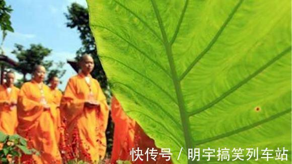 佛家#“有福之人,看心态便知”,高僧:他们往往拥有这四种心态