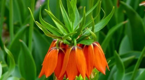 每天晚上坚持吃3种食物，营养十分丰富，好吃又不贵！