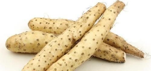 红薯|脾虚百病生脾有“3怕”,常吃“4物”,远离脾虚更健康