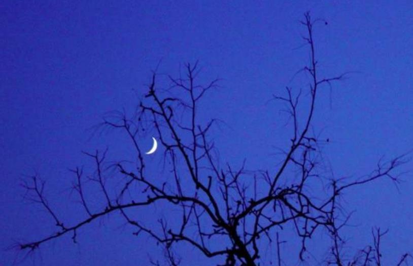 苏轼很孤独的词,最后一句惊艳900多年,却有不识货的觉得有语病