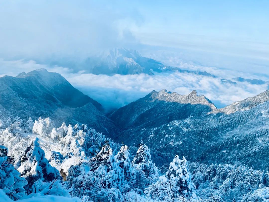 雨雪|此刻的杭州，太美了吧！