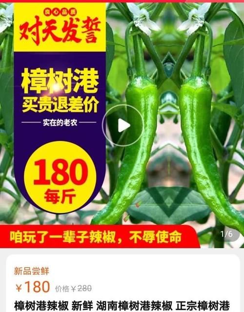湿气|150块钱1斤!这蔬菜真是天价!但再贵也别错过,夏天最该多吃!