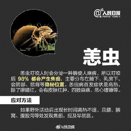 秋游|秋游当心昆虫过敏！严重过敏反应甚至危及生命