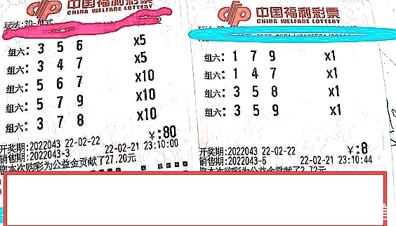 宁波643万元大奖得主领奖：AI选号助我一臂六合彩官网 - 实时开奖、精准预测、专业分析之力