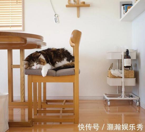 日式|如何把收纳功能点满？看看她家的日式小屋