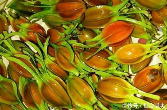 蒲公英|不想痛风来烦你，吃6种以上的碱性食物，尿酸会一天比一天低