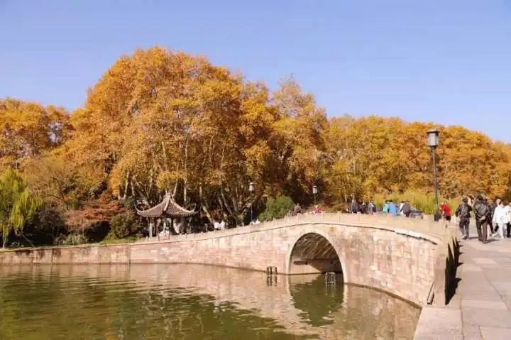 北山路|秋景大片正在上映，北山路、孤山路、黄龙洞等着你来！坏消息：较强冷空气已在候场