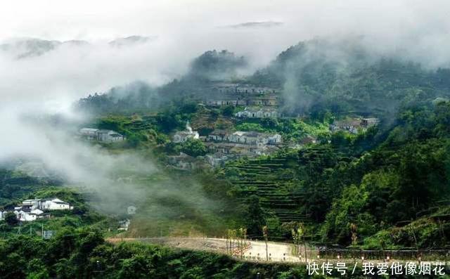 山东最美古村之一，村民们都居住在竹林中，环境宛如世外桃源般！