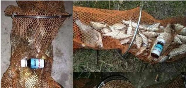 别再七想八想,“征服”黄颡鱼就得用这钓法,不料刚一下竿就有口!